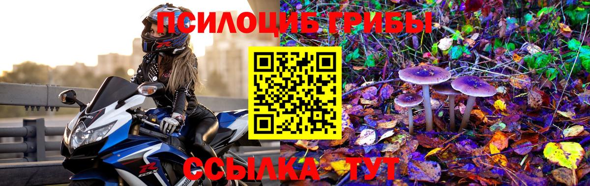 Псилоцибиновые грибы мицелий  Псилоцибиновые грибы Psilocybe  Вход с VPN  Ноябрьск 