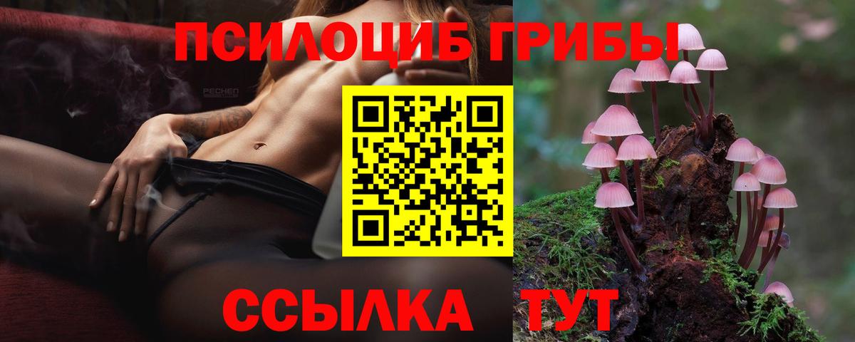 Галлюциногенные грибы GOLDEN TEACHER Ноябрьск